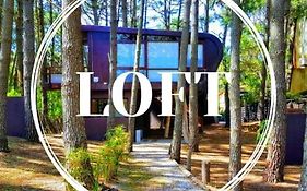 Loft En El Bosque